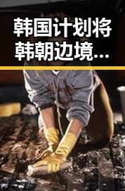 韩国计划将韩朝边境“民统线”北移引发关注 山姆采购官离职内幕揭晓