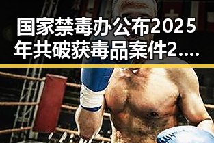 国家禁毒办公布2025年共破获毒品案件2.7万起反差引发关注,特朗普表达对以色列袭击贝鲁特的不喜欢引