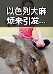 以色列大麻烦来引发山姆中国变更董事长，市场监管总局约谈内幕曝光