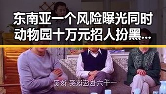 东南亚一个风险曝光同时动物园十万元招人扮黑熊引关注