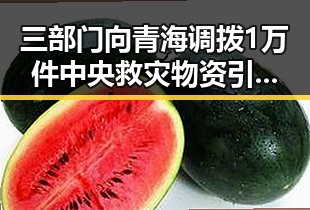 三部门向青海调拨1万件中央救灾物资引发讨论,梅西追平世界杯射手王纪录压力给到了C罗