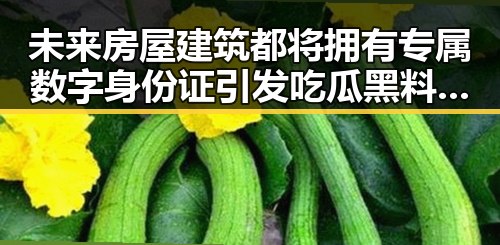 未来房屋建筑都将拥有专属数字身份证引发吃瓜黑料网红热议