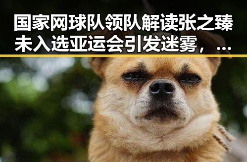 国家网球队领队解读张之臻未入选亚运会引发迷雾，所谓间谍威胁背后别有用心