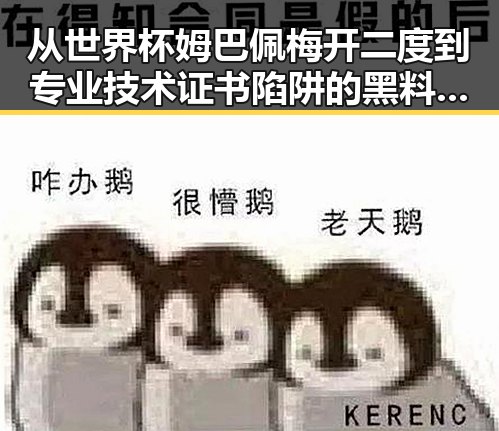从世界杯姆巴佩梅开二度到专业技术证书陷阱的黑料揭秘