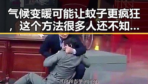 气候变暖可能让蚊子更疯狂，这个方法很多人还不知道能随时随地恢复精力