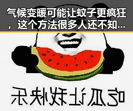气候变暖可能让蚊子更疯狂,这个方法很多人还不知道能随时随地恢复精力
