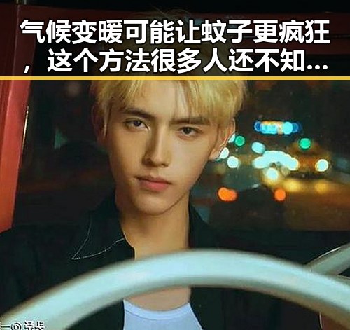 气候变暖可能让蚊子更疯狂,这个方法很多人还不知道能随时随地恢复精力