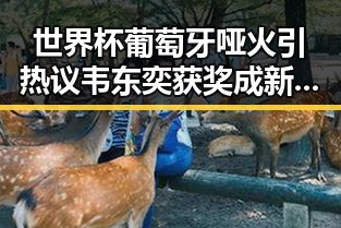 世界杯葡萄牙哑火引热议 韦东奕获奖成新焦点
