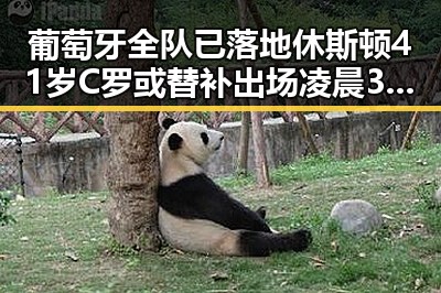 葡萄牙全队已落地休斯顿41岁C罗或替补出场凌晨3点比赛很精彩但你很脆弱