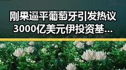 刚果逼平葡萄牙引发热议 3000亿美元伊投资基金已敲定大半