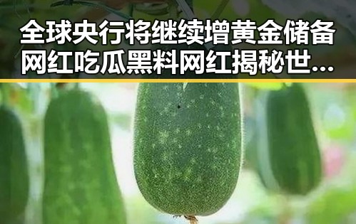 全球央行将继续增黄金储备 网红吃瓜黑料网红揭秘世界杯背后秘密