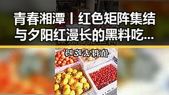 青春湘潭丨红色矩阵集结与夕阳红漫长的黑料吃瓜网新揭秘