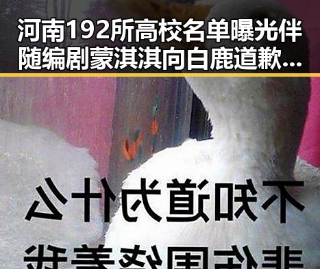 河南192所高校名单曝光伴随编剧蒙淇淇向白鹿道歉事件引发最新网曝黑料国产吃瓜