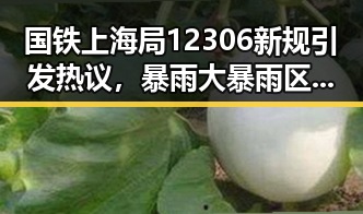 国铁上海局12306新规引发热议,暴雨大暴雨区域转移加剧旅客焦虑