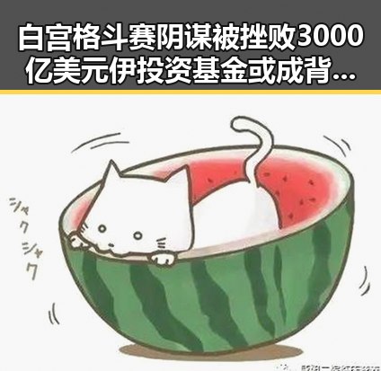 白宫格斗赛阴谋被挫败3000亿美元伊投资基金或成背后推手