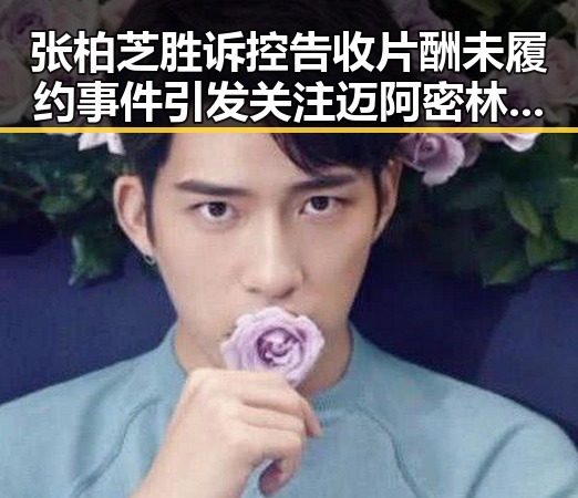 张柏芝胜诉控告收片酬未履约事件引发关注 迈阿密林火或将影响世界杯赛