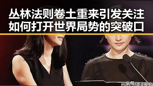丛林法则卷土重来引发关注 如何打开世界局势的突破口