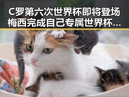C罗第六次世界杯即将登场梅西完成自己专属世界杯浪漫再现
