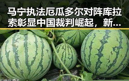 马宁执法厄瓜多尔对阵库拉索彰显中国裁判崛起,新任国防部发言人陈曦亮亮相引关注