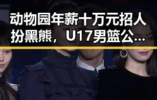 动物园年薪十万元招人扮黑熊，U17男篮公布14人名单引发热议