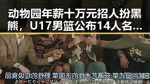动物园年薪十万元招人扮黑熊,U17男篮公布14人名单引发热议
