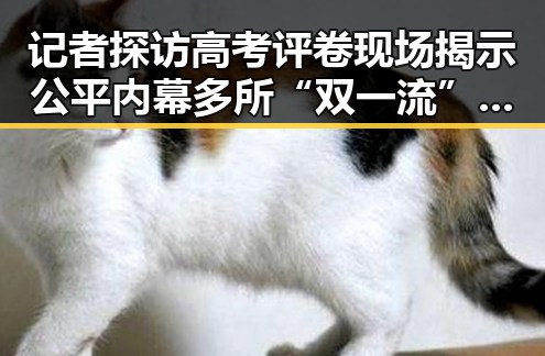 记者探访高考评卷现场揭示公平内幕 多所“双一流”高校宣布扩招引关注